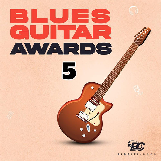Blues Guitars Awards 5