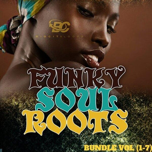 Funky Soul Roots Bundle Vol 1-7