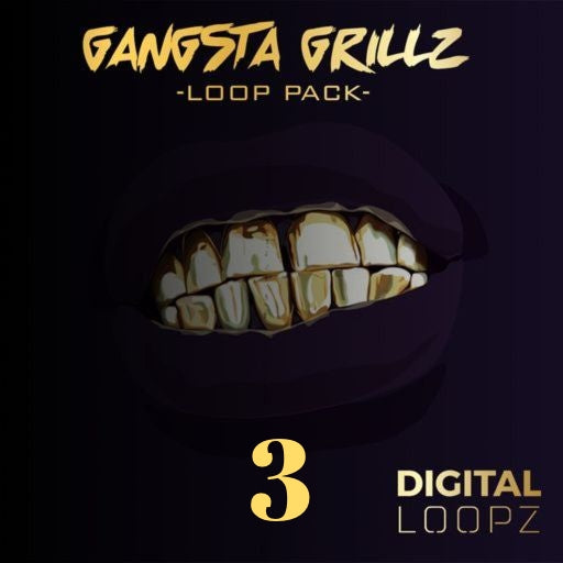 Gangsta Grillz 3