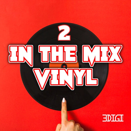 In The Mix Vinyl 2