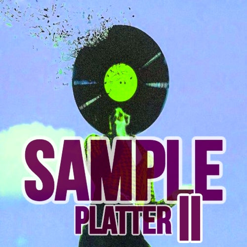 Sample Platter 2