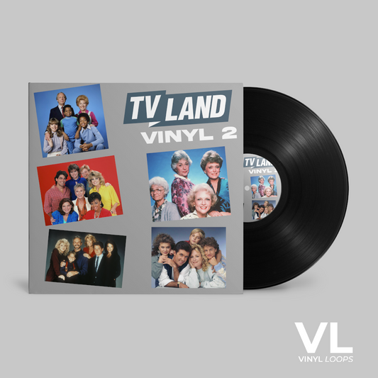 Tv Land Vinyl Vol.2