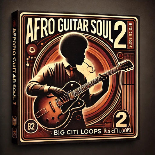 Afro Guitar Soul 2