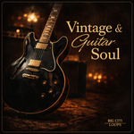 Vintage & Guitar Soul
