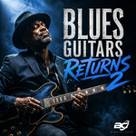 Blues Guitars Returns 2
