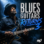 Blues Guitars Returns 3