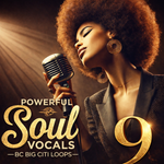 Powerful Soul Vocals 9