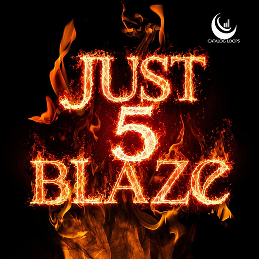 Just Blaze 5