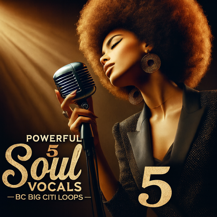 Power Soul Vocals 5
