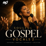 Soulful Gospel Vocals 2