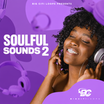 Soulful Sounds 2