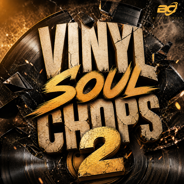 Vinyl Soul Chops 2