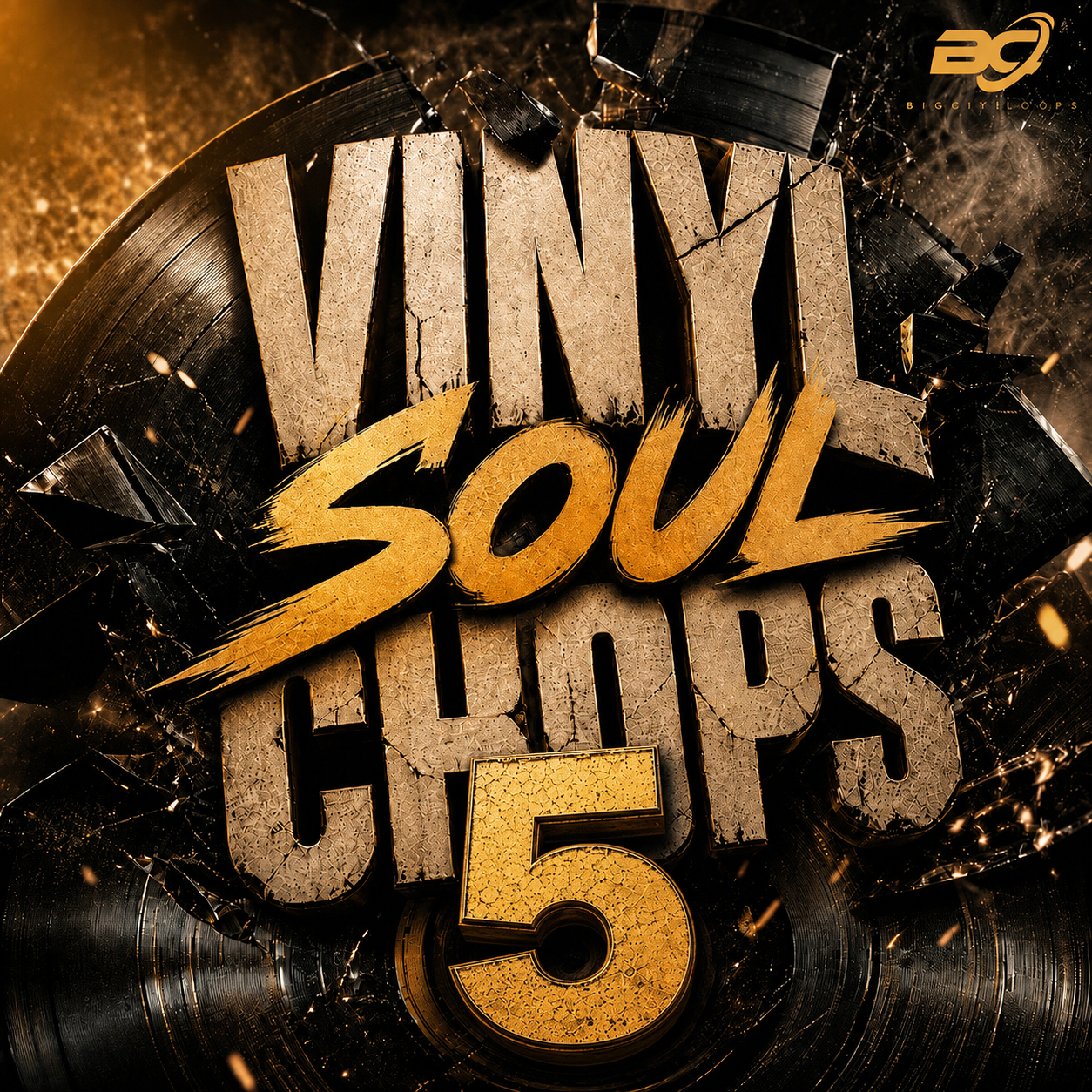 Vinyl Soul Chops 5