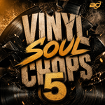 Vinyl Soul Chops 5